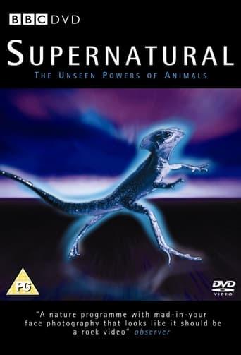 Supernatural: Unseen Power of Animals